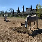 La Corte Dei Cavalieri Apartmán Montefalco