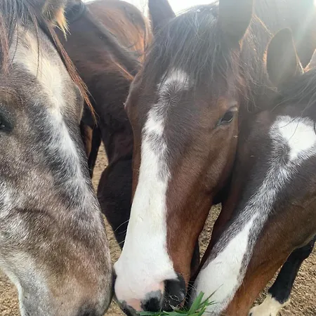 La Corte Dei Cavalieri Montefalco