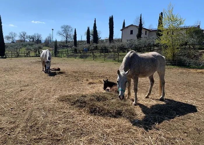 La Corte Dei Cavalieri شقة مونتيفالكو